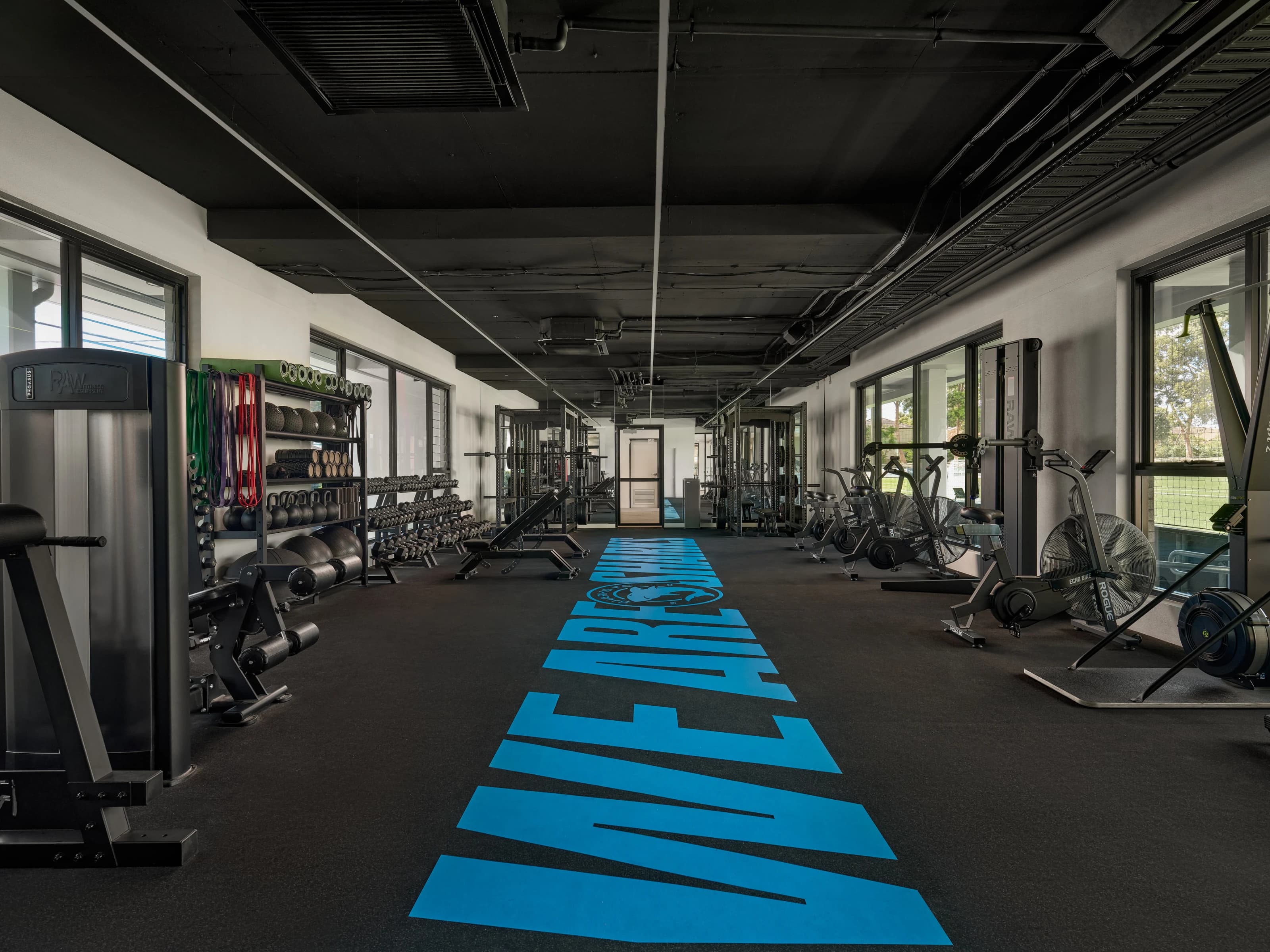 The length of the gym: racks of weights and bikes either side of a sky-blue “We are Sharks” runway painted down the floor