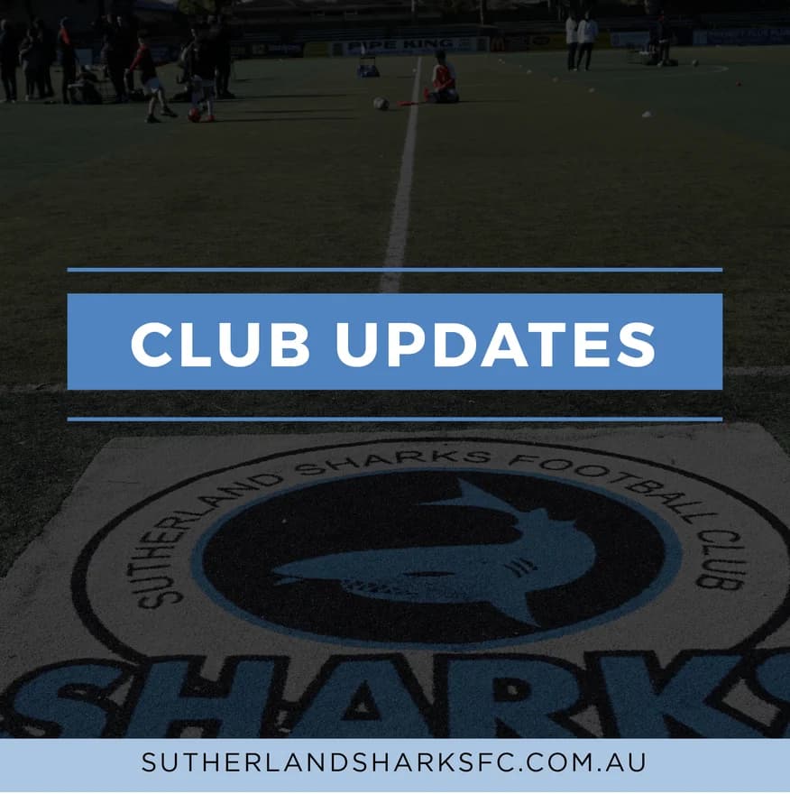 Club Updates over the Sharks crest painted on the pitch