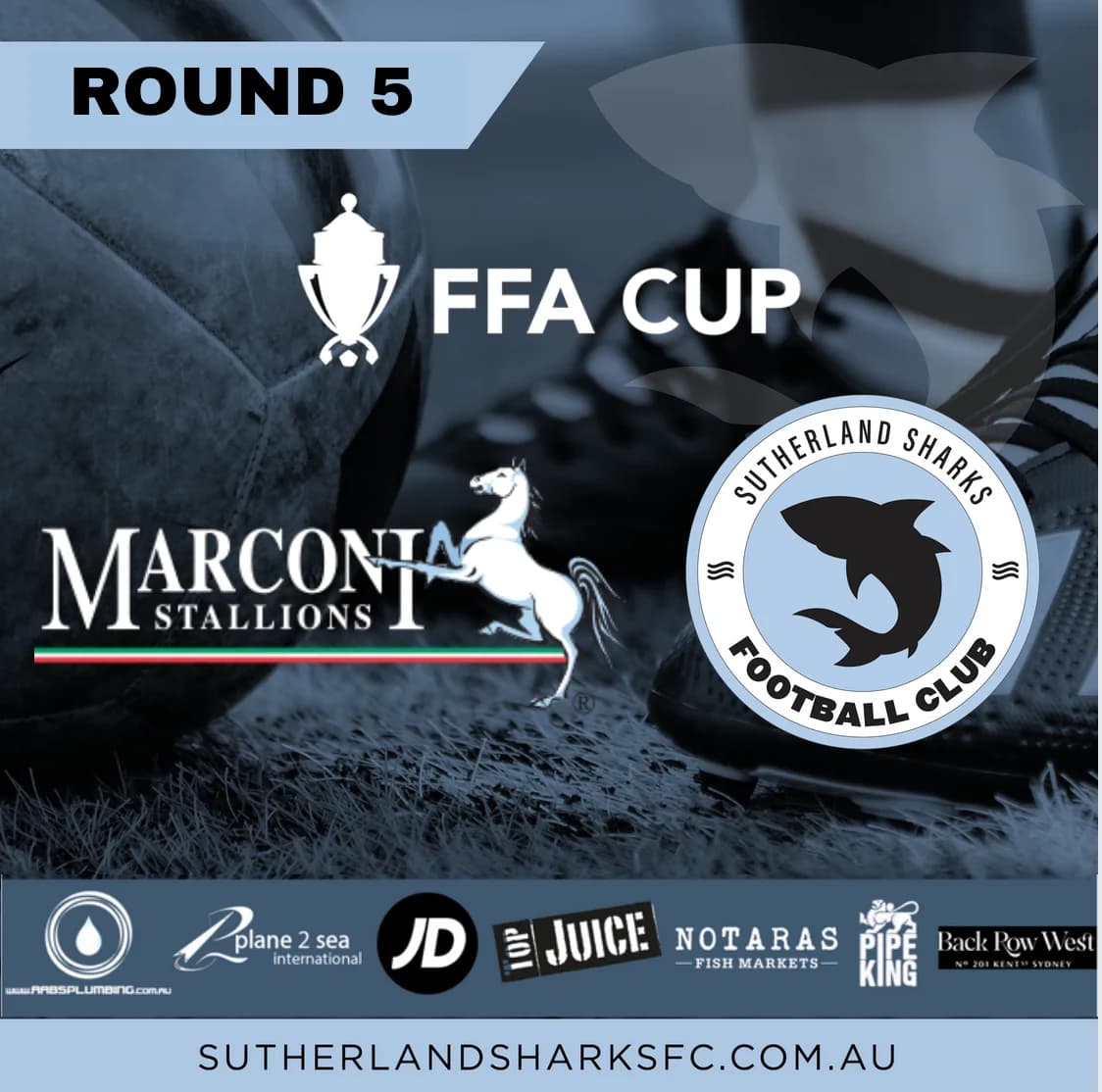 FFA Cup round 5: Marconi Stallions v Sutherland Sharks