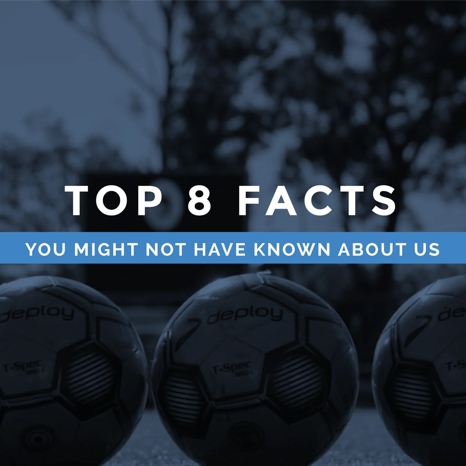 Top 8 facts you might not have known about us