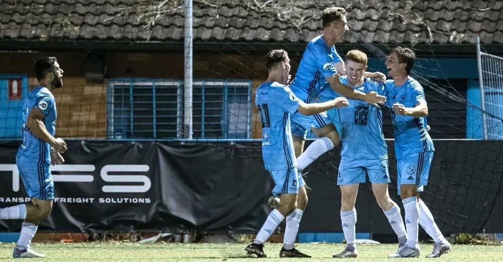 Sharks players celebrate a goal against Rangers