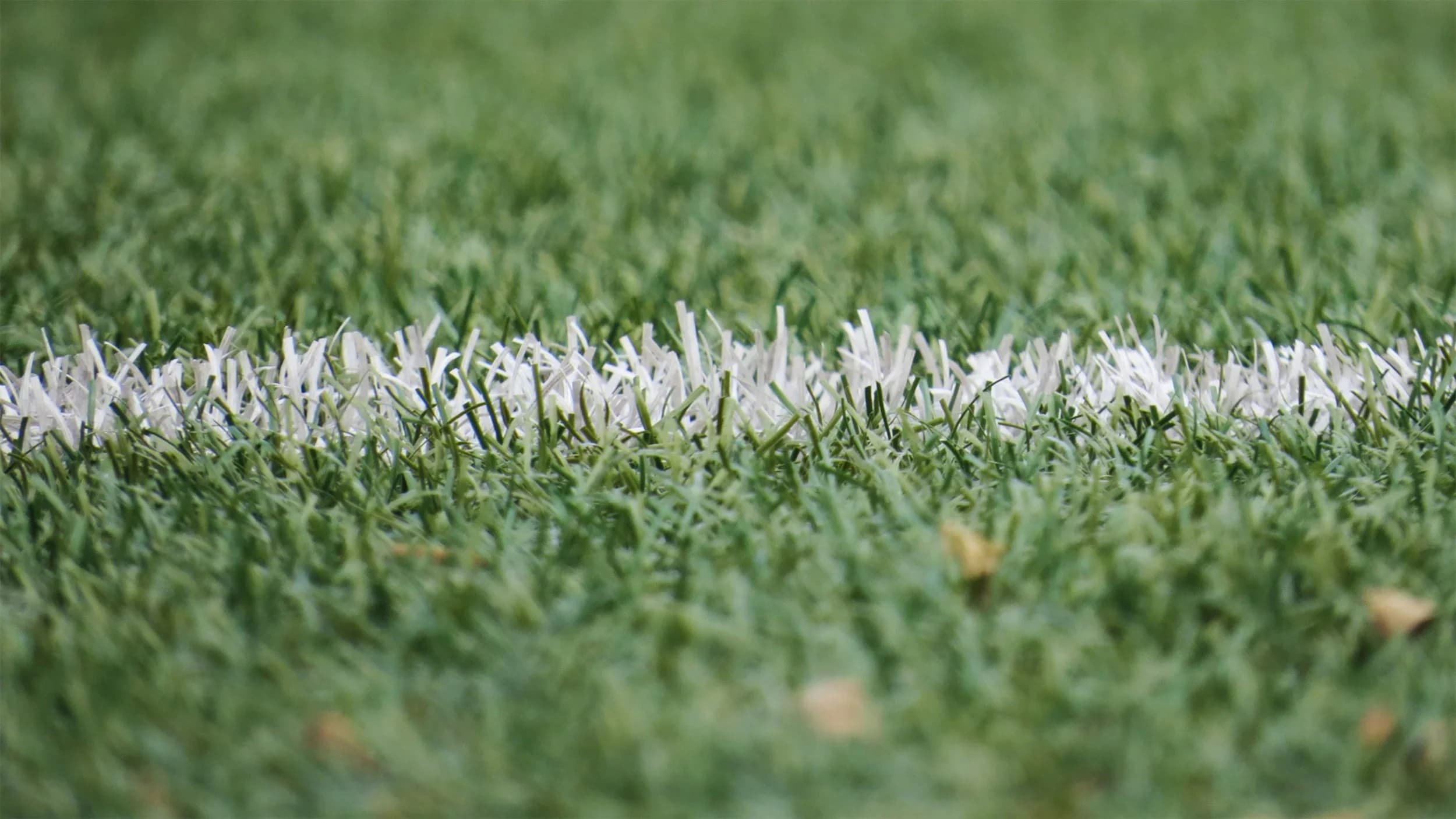 A close-up of a white line on the new synthetic pitch