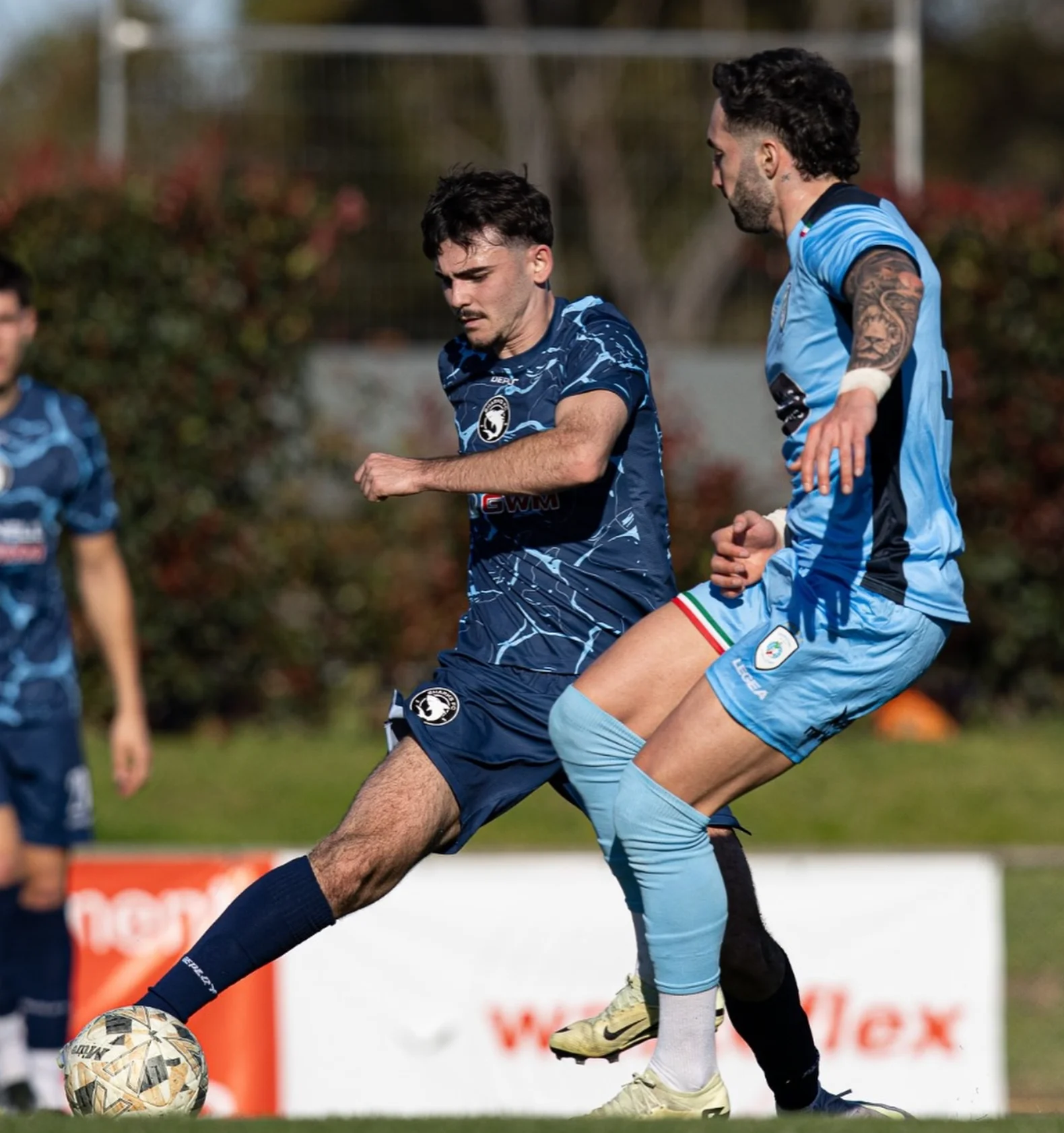 A Sharks player in sky blue tackles a Sydney Olympic player in navy