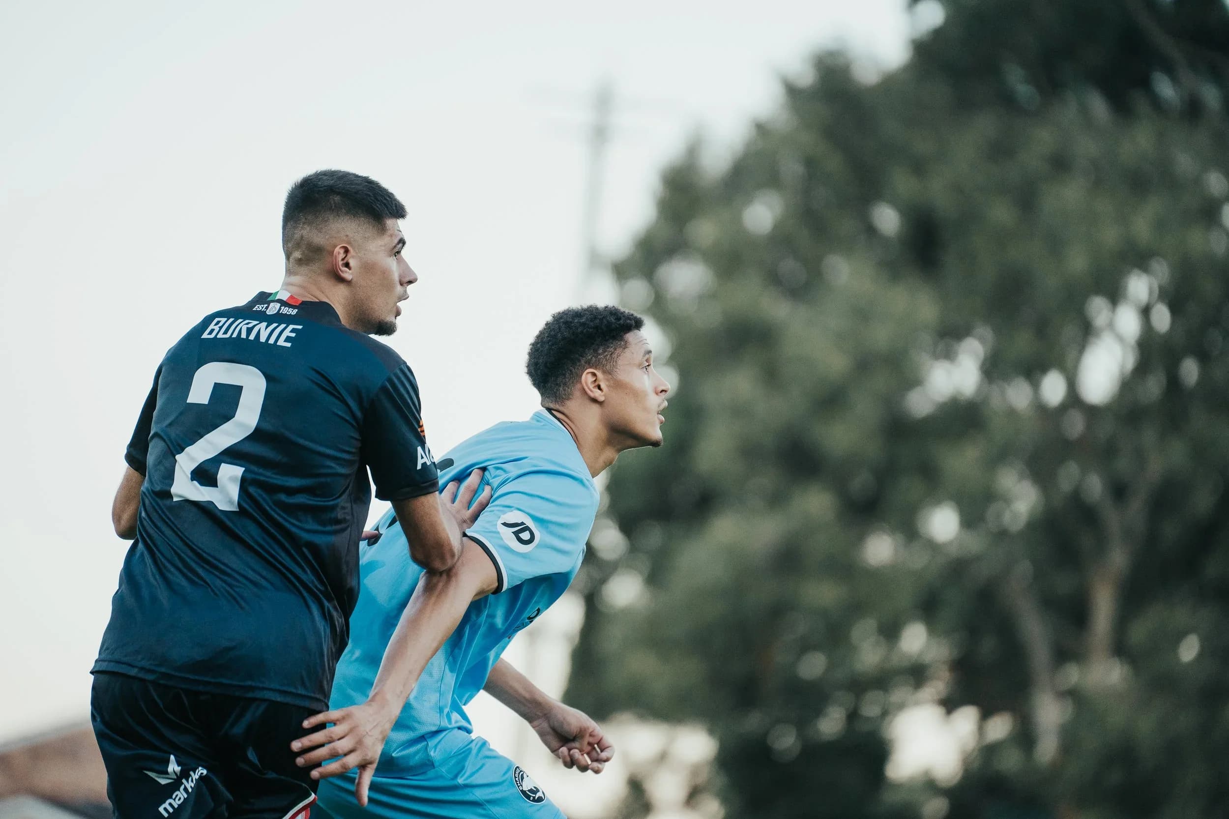 Two Sharks players in navy, number 2 in front, on the pitch