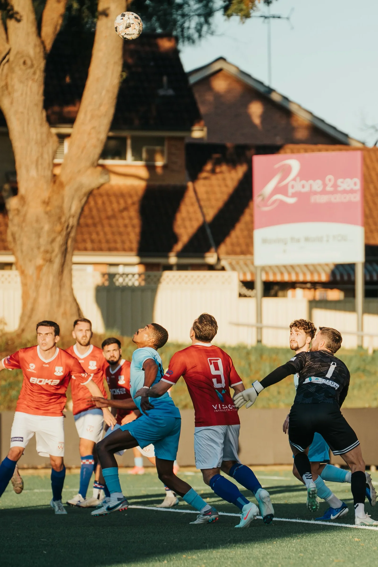 A Sharks player in sky blue battles for the ball among opponents in red