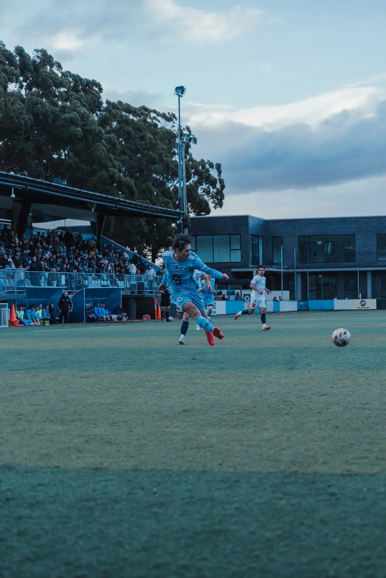 A Sharks player runs with the ball in front of the grandstand