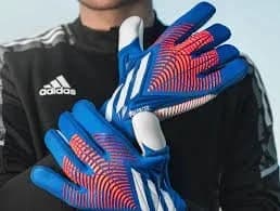 A goalkeeper holds up a pair of blue and red gloves